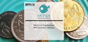 Australia’s Fatfish Group to Roll Out its “PaySlowSlow” BNPL Services In Malaysia | Fintech Finance
