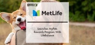 MetLife Pet Insurance Launches MyPets Rewards Program With LifeBalance | Fintech Finance