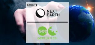Next Earth and SEE Turtles Collaborate on a Metaverse Charity Game For Earth Day | Fintech Finance