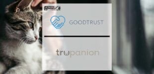 On National Pet Day GoodTrust And Trupanion Partner To Help Protect Our Faithful Friends | Fintech Finance