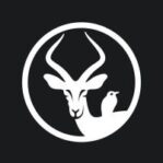 Yieldstreet | Fintech Finance