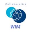 Collaborative WIM | Fintech Finance