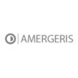 Amergeris | Fintech Finance
