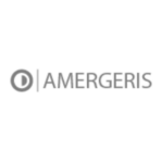 Amergeris | Fintech Finance
