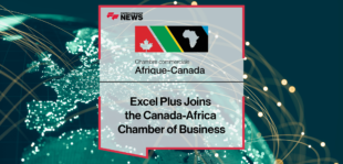 Excel Plus