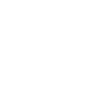 Forte Capital Group