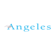 Angeles Investments