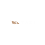 TAZI