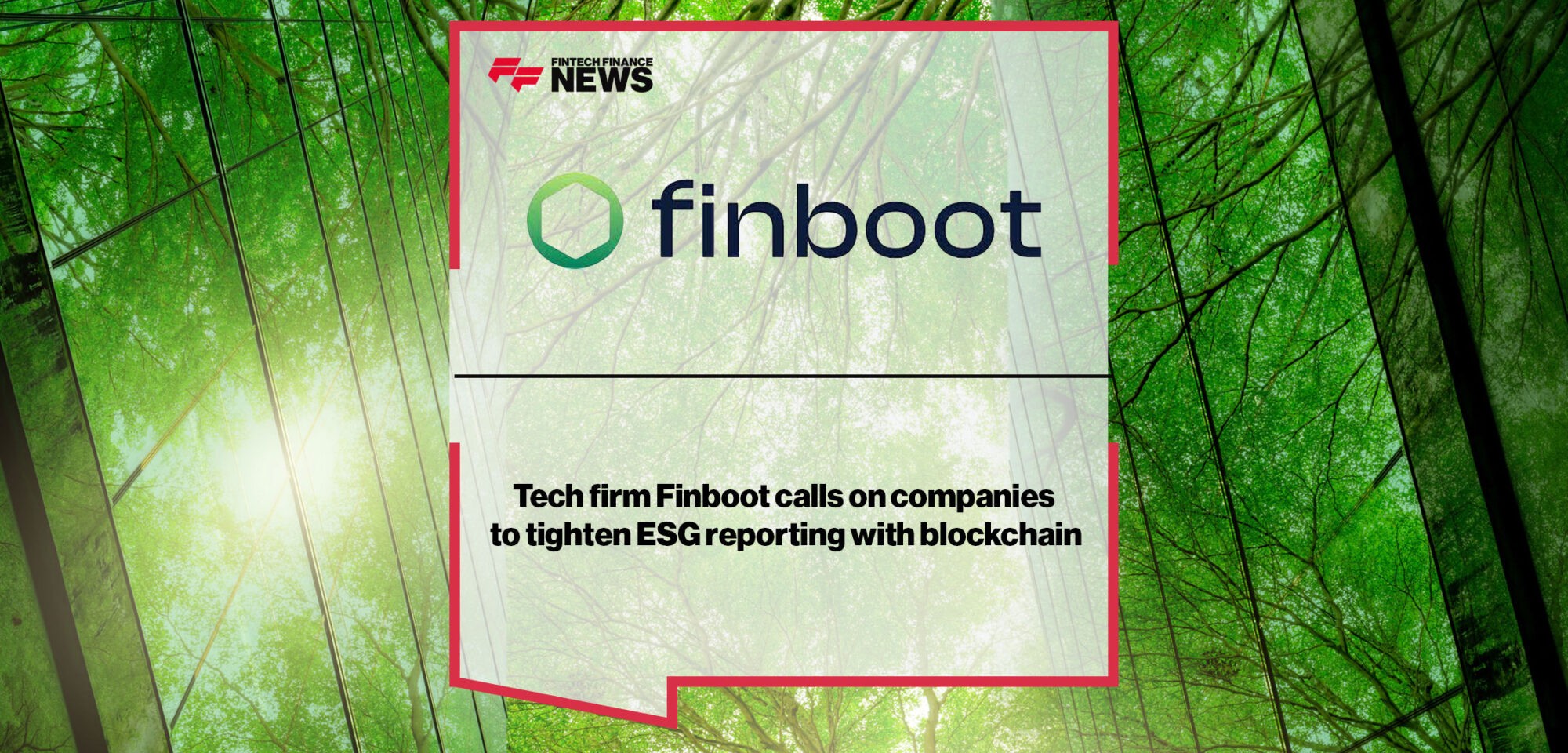 FINBOOT.jpg