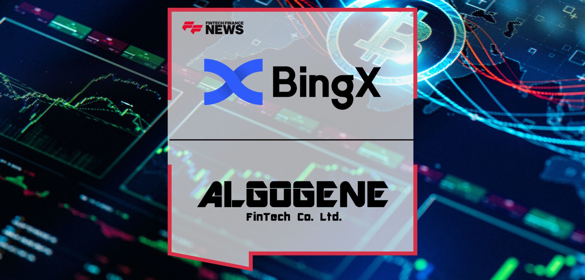 bingx-1.jpg