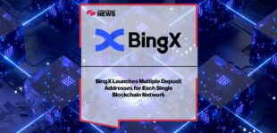 bingx.jpg