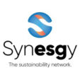synesgy.jpg
