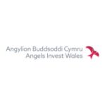 Angels Invest Wales