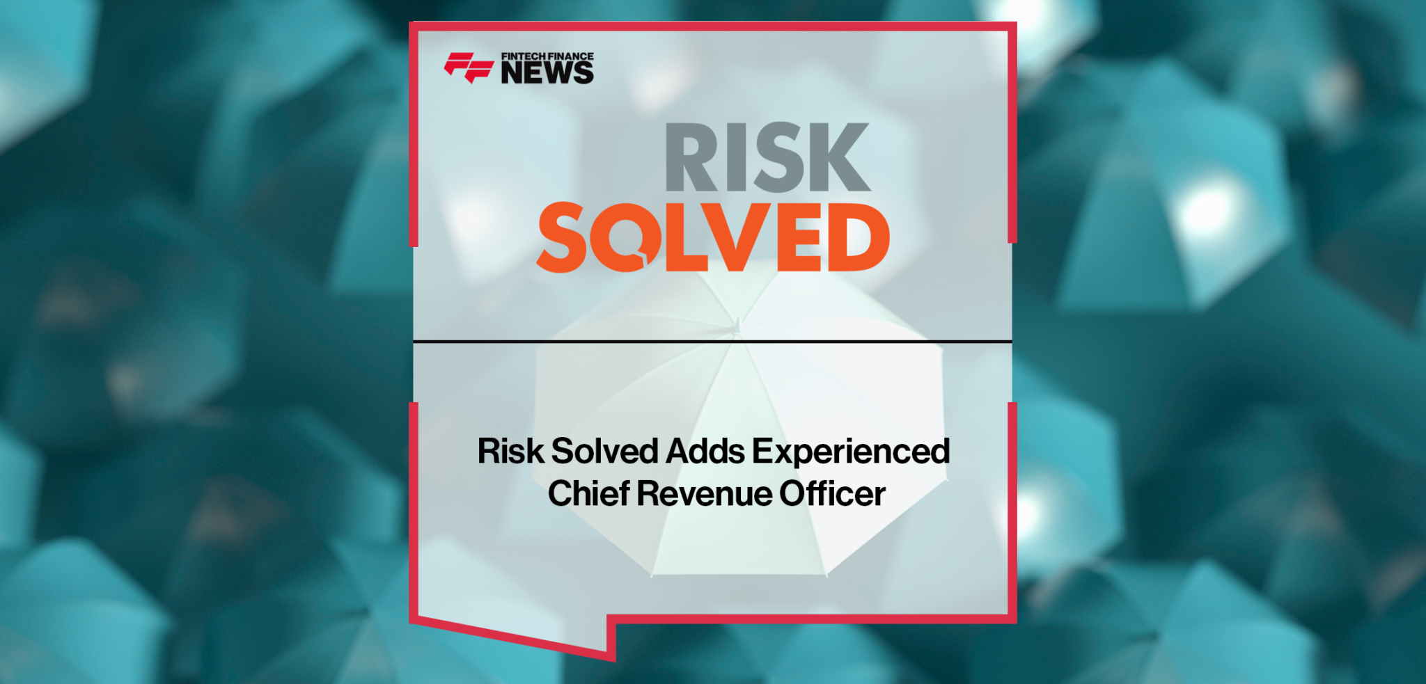 Risk Solved Adds Experienced Chief Revenue Officer