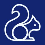 Money Squirrel