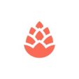 Cedar | FFNews