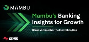 Banks vs Fintechs: The Innovation Gap | Mambu’s Banking Insights for Growth