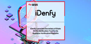iDenfy Secretary of State KYB tool for business verification