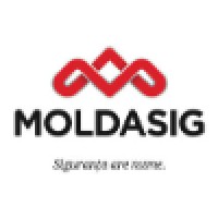 MoldAsig.com