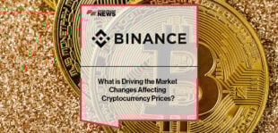 Cryptocurrency market volatility driven by global economic forces, regulation, investor sentiment, and blockchain adoption impacting crypto coin prices.